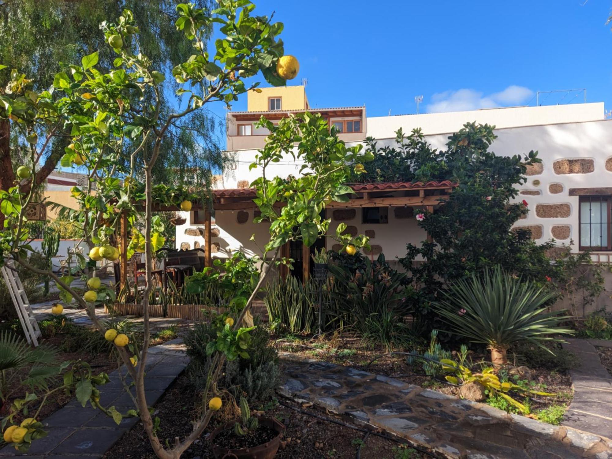 Apartamento Casa Roberta Agua Arona  Exterior foto